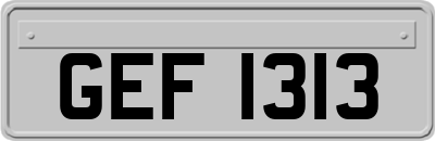 GEF1313