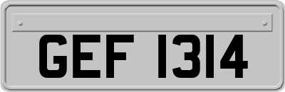 GEF1314