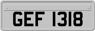 GEF1318