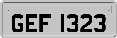 GEF1323