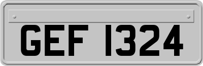 GEF1324