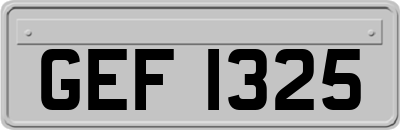 GEF1325