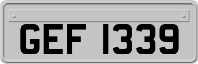 GEF1339