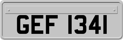 GEF1341