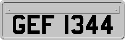 GEF1344