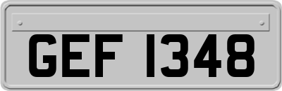 GEF1348