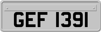 GEF1391