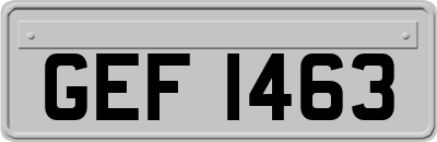 GEF1463