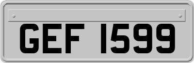 GEF1599