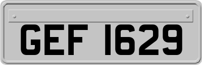 GEF1629