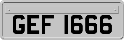 GEF1666