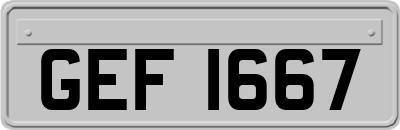 GEF1667