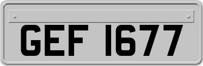 GEF1677