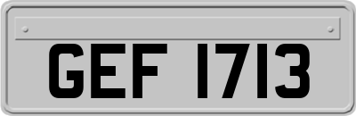 GEF1713