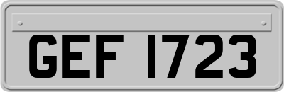 GEF1723