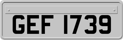 GEF1739