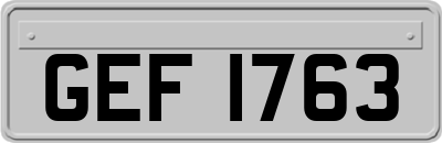 GEF1763