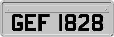 GEF1828