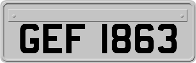GEF1863