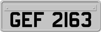 GEF2163