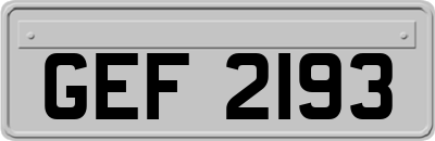 GEF2193