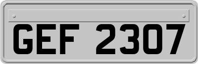 GEF2307