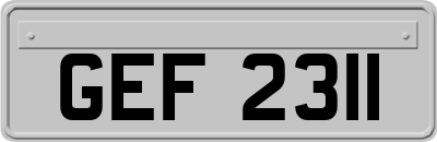 GEF2311