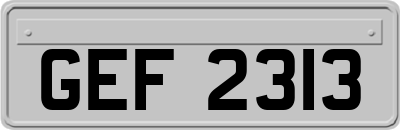 GEF2313