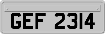 GEF2314
