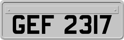 GEF2317