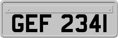 GEF2341