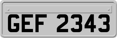 GEF2343