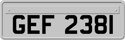 GEF2381