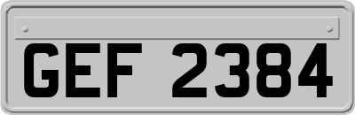 GEF2384