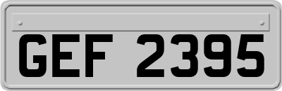 GEF2395