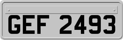 GEF2493