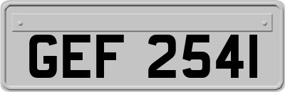 GEF2541