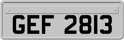 GEF2813
