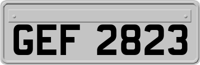 GEF2823