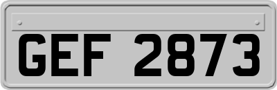 GEF2873