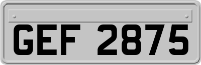 GEF2875