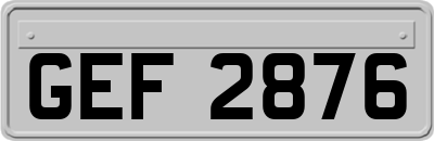 GEF2876