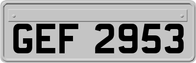 GEF2953