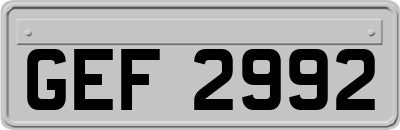 GEF2992