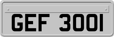 GEF3001