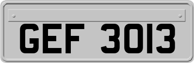 GEF3013