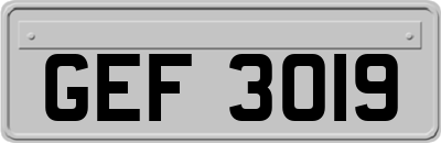GEF3019