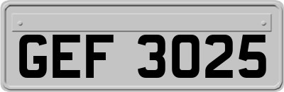 GEF3025