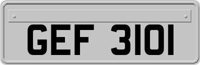 GEF3101