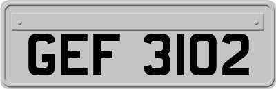GEF3102